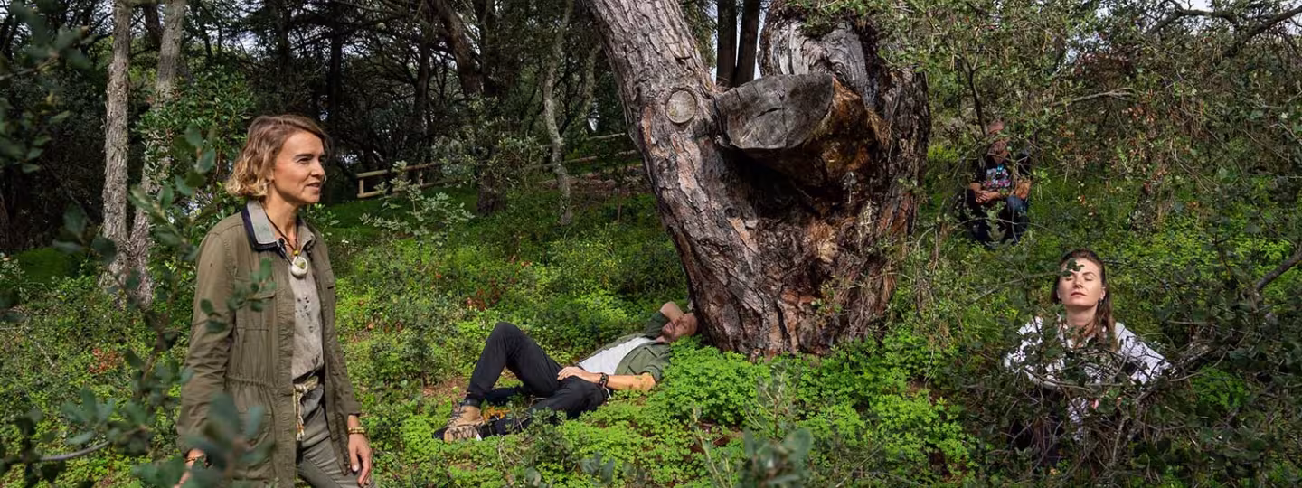 people enjoying their time in forest
