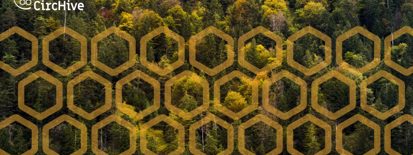 high angle shot of forest with autumn colored trees