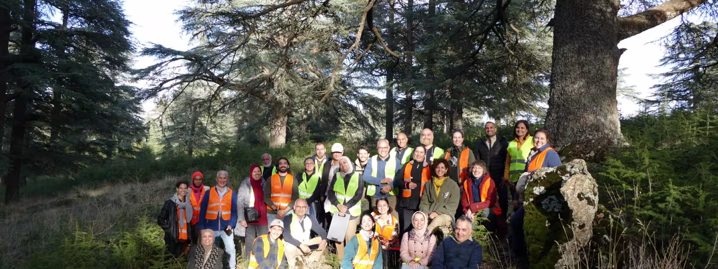 Group photo of more than 30 workshop participants in high-visibility vests among large Atlas cedar trees.
