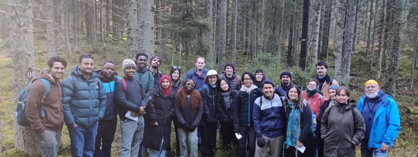 participants of the PRUDENT project forest visit in Joensuu October 2026
