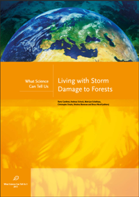Living with Storm  Damage to Forests
