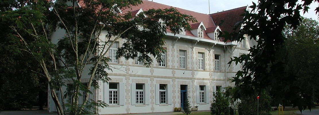 Bordeaux office