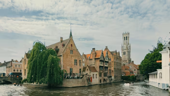 Large weeping willow over a canal with historic buildings and a stone tower in Bruges.