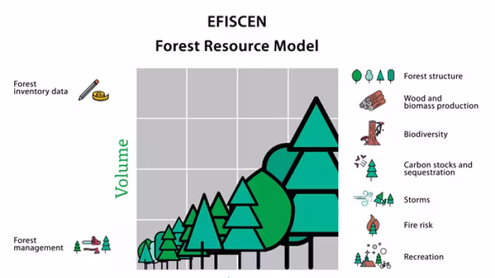 The European Forest Information SCENario Model (EFISCEN)