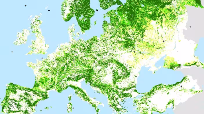 Forest Map of Europe