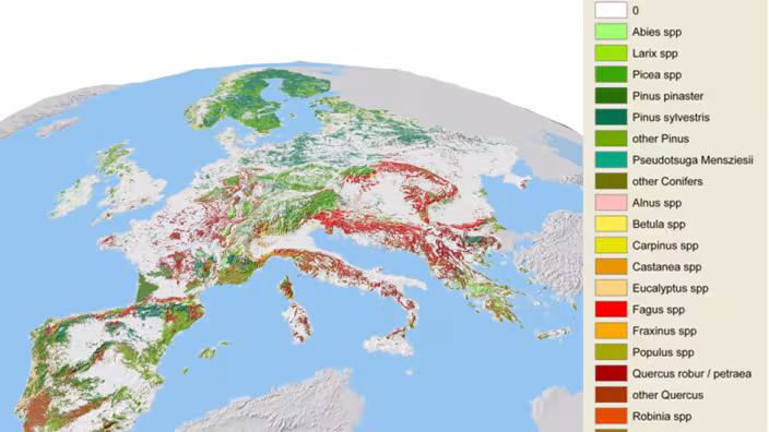 Tree species maps for European forests