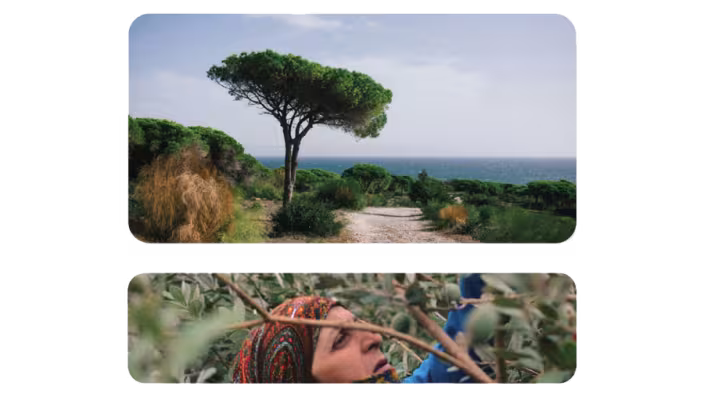 mediterranean landscapes and people