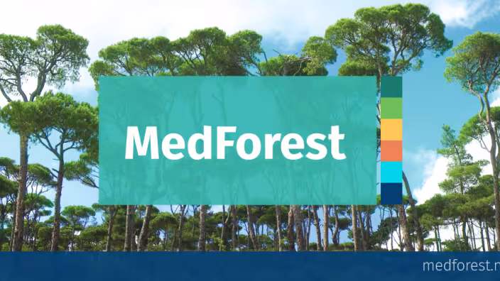 MedForest title with Mediterranean trees