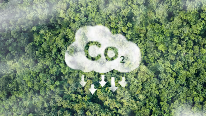 Carbon farming