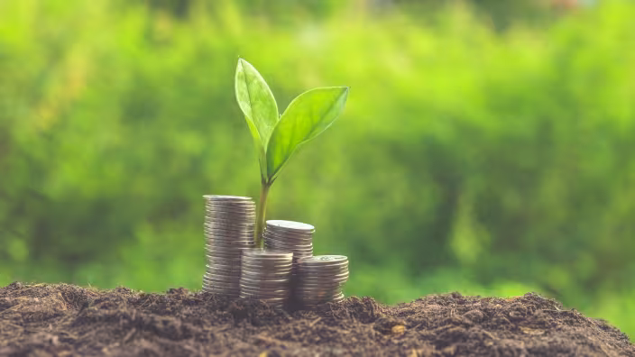 Forest finance 
