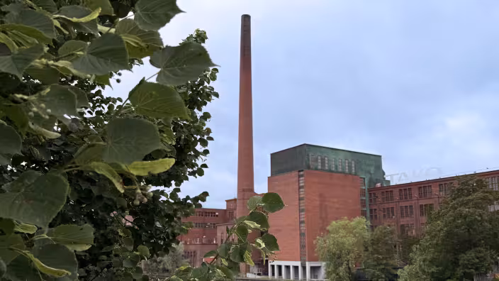 A tree in front of a factory