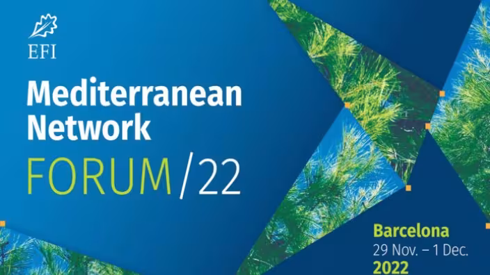 EFI Mediterranean Network Forum 2022