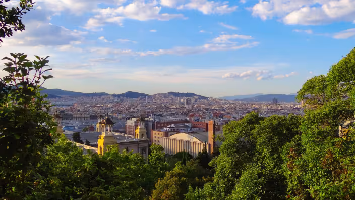 A view of Barcelona from a hilltop with lush greenery framing the skyline and architecture.