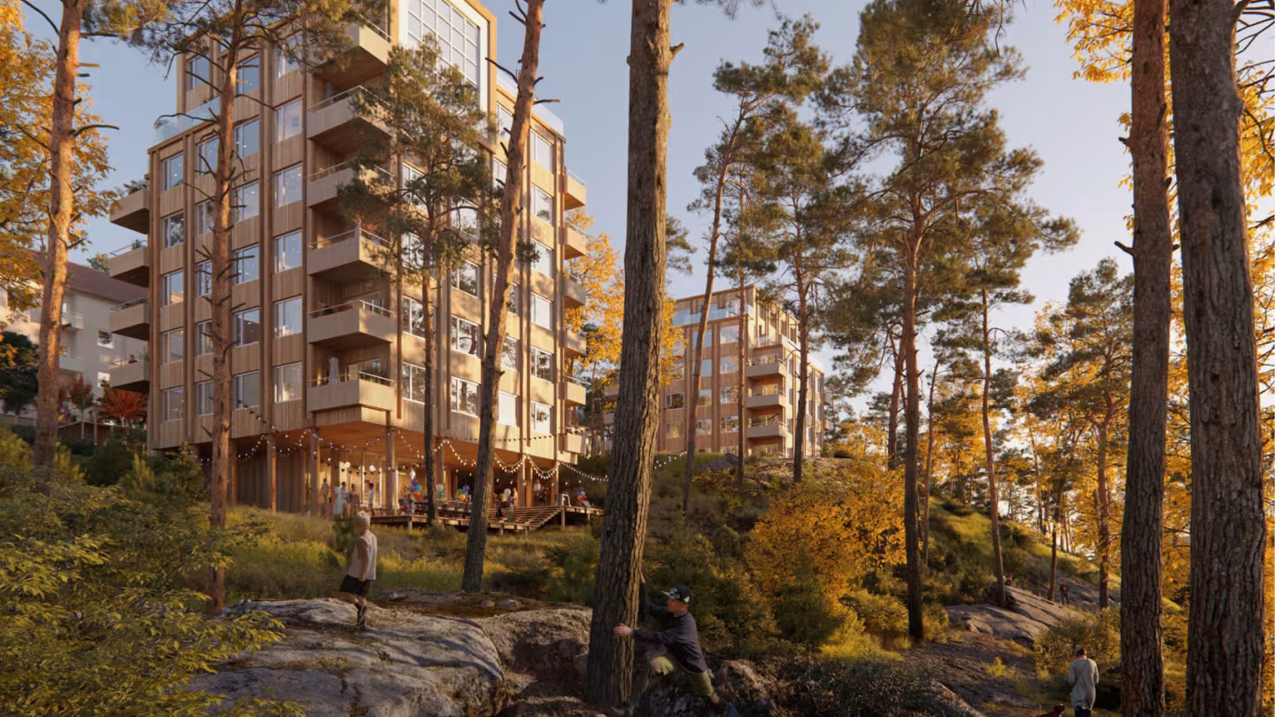 Buildings and forest