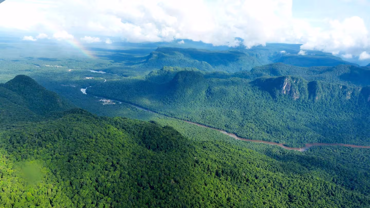Aerial view of a rainforest and a river