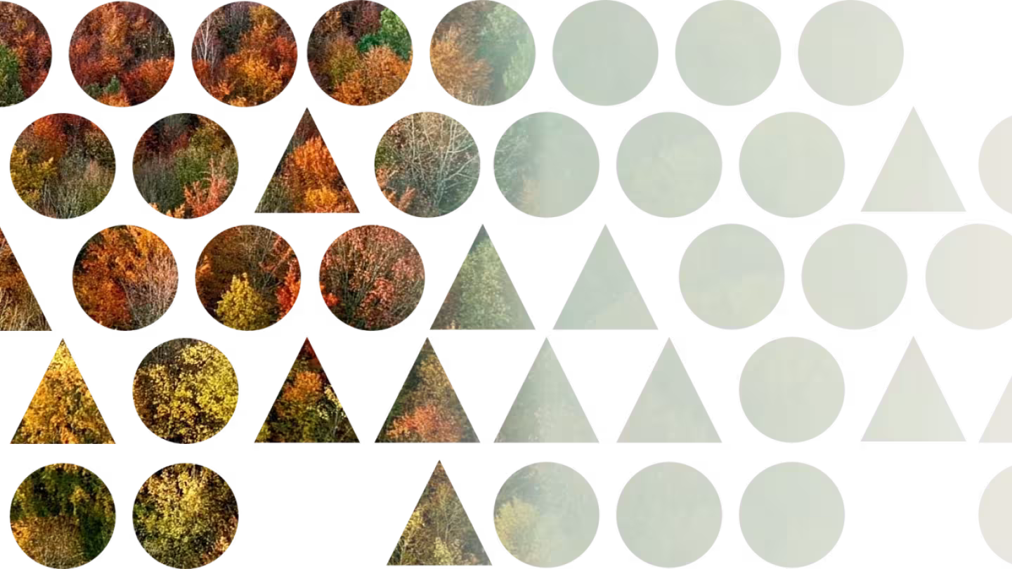 FoRISK graphics