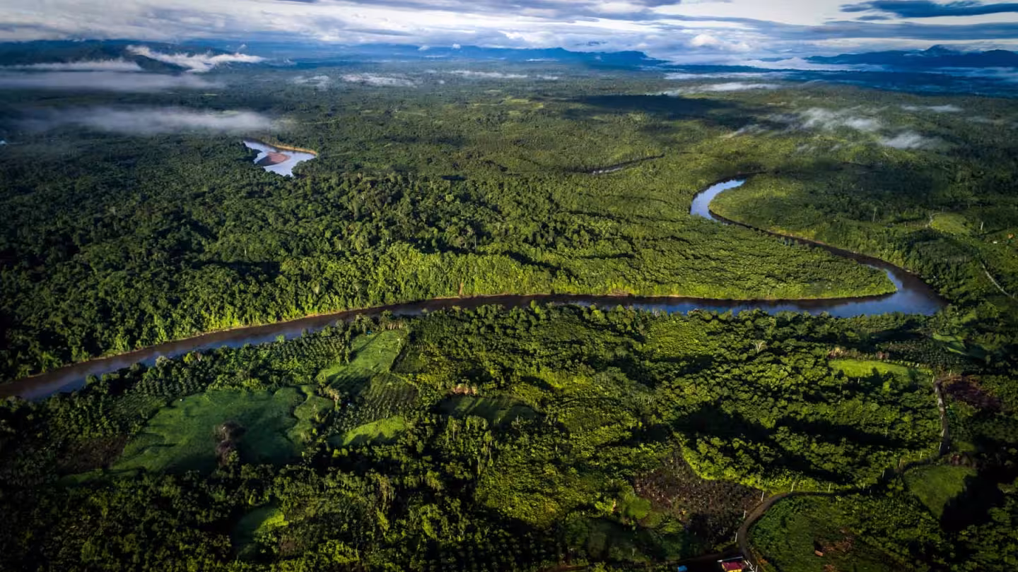 Aerial view of a winding river flowing through a dense tropical rainforest under a cloudy sky.