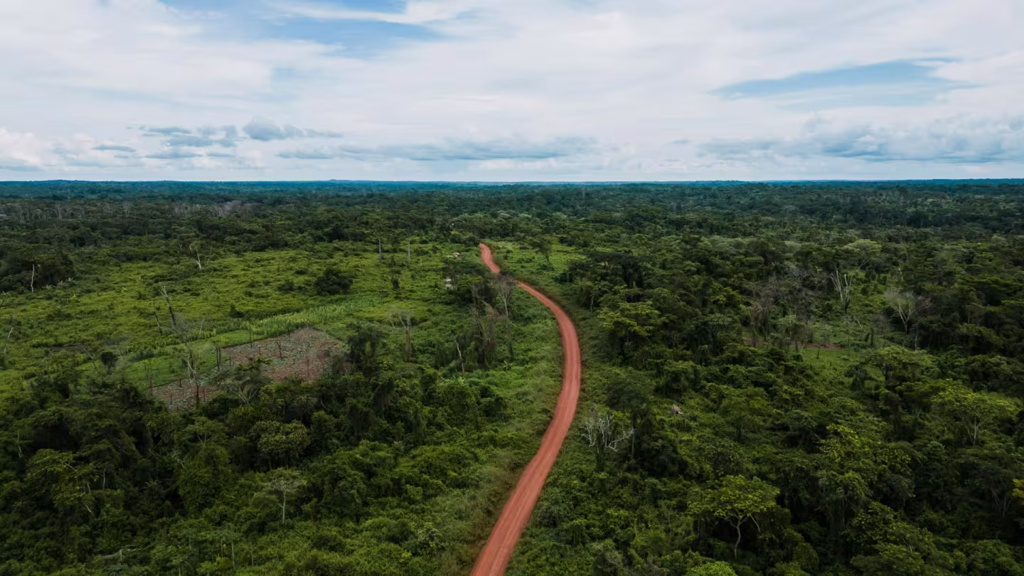 Aerial view of a winding red clay road cutting through a dense green rainforest under a cloudy sky.