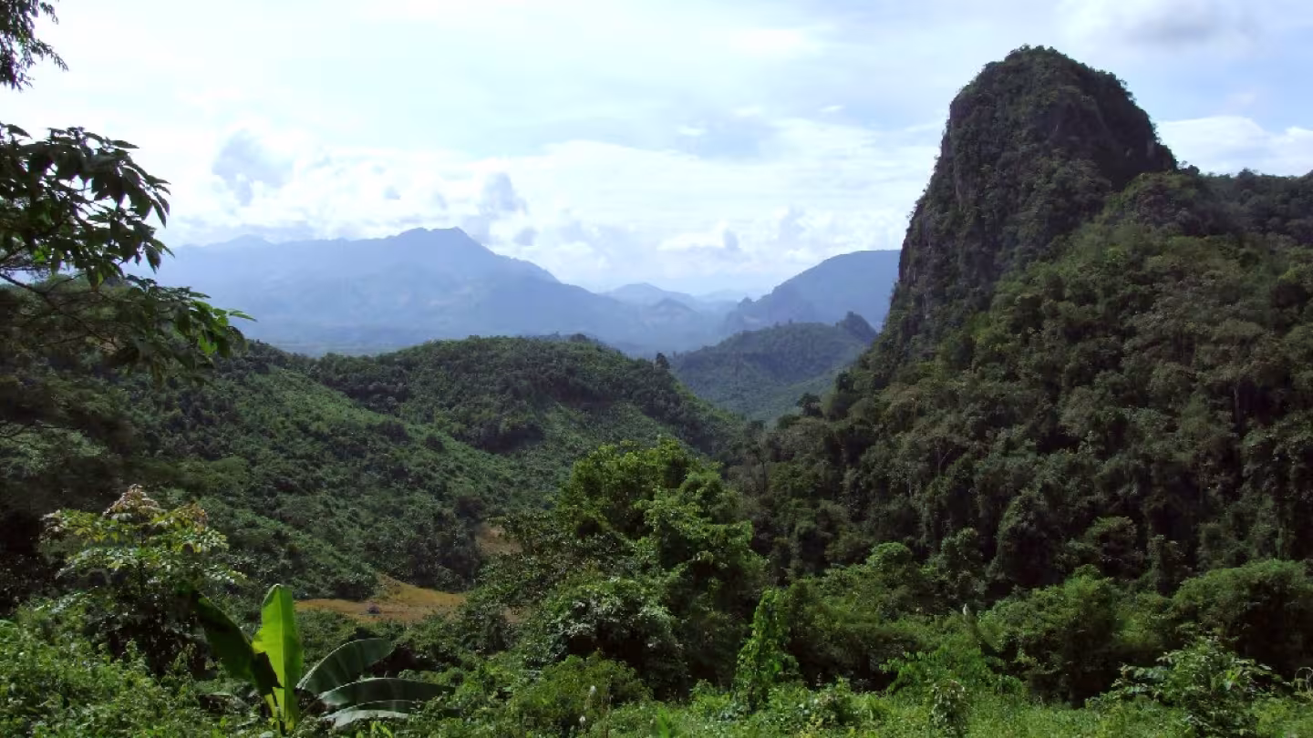 Panoramic view of a lush, tropical rainforest valley in Asia, featuring dense green canopy and a prominent karst limestone peak under a cloudy sky.