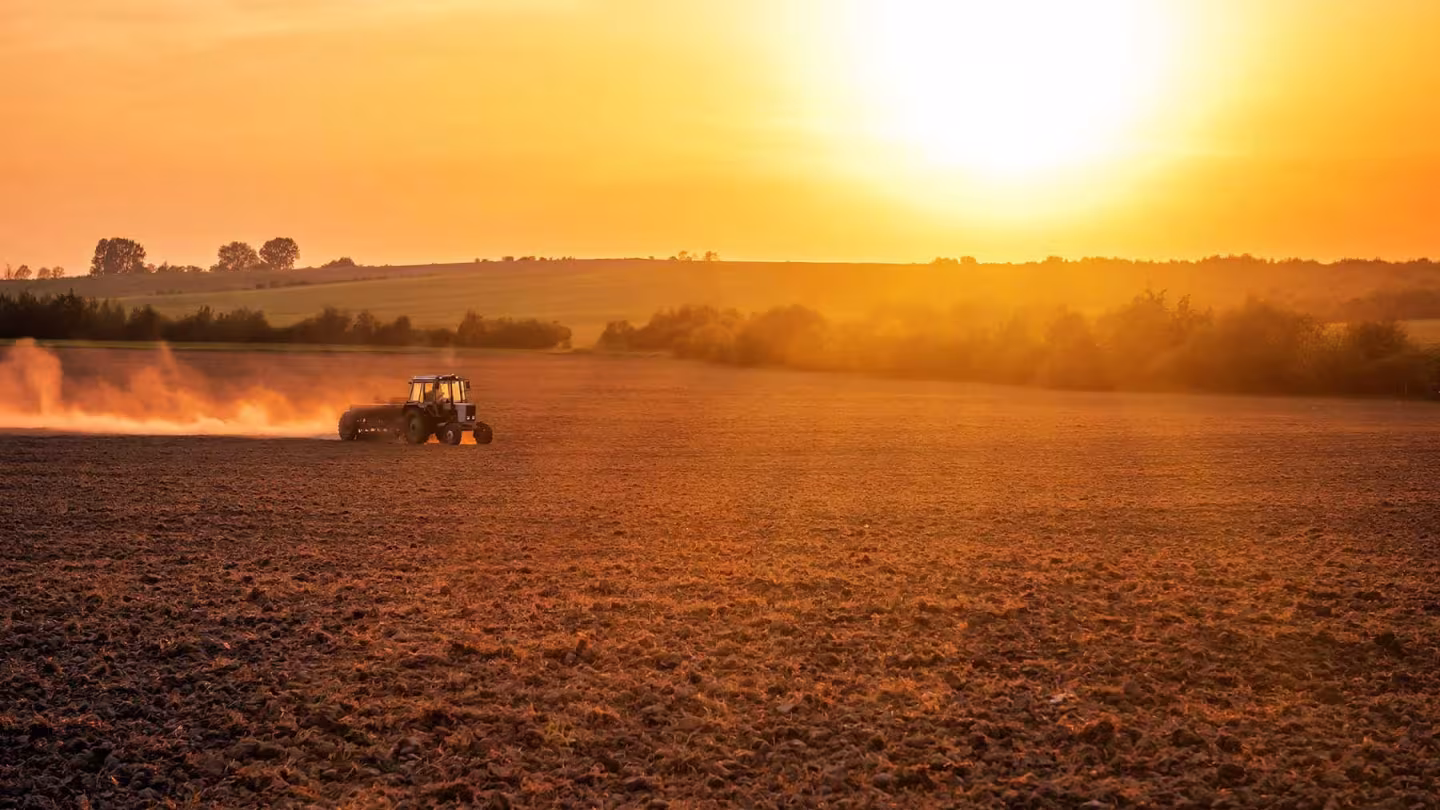 A tractor tilling a vast field at sunset, kicking up dust against a backdrop of distant trees.