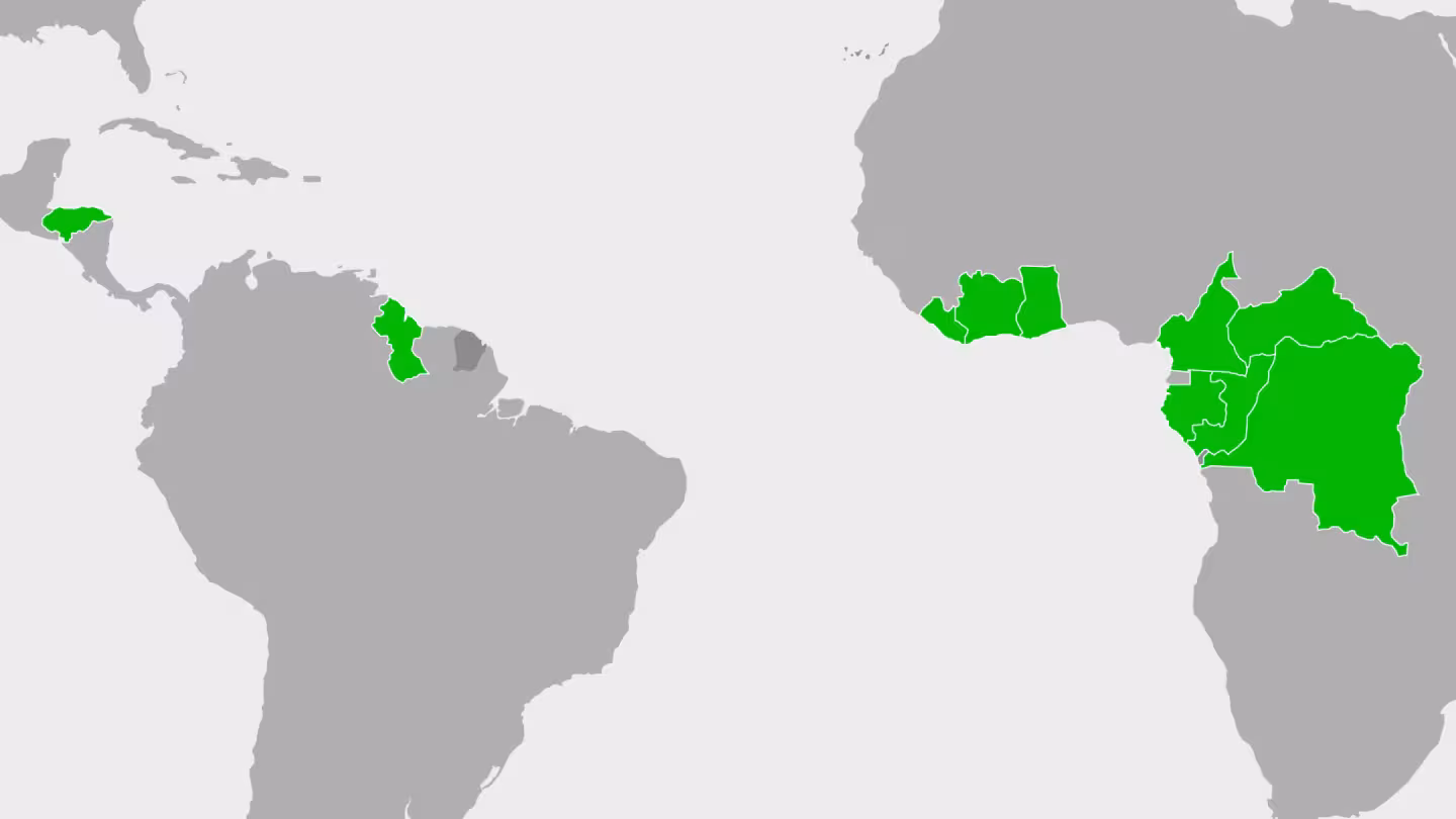 The VPA ALA Facility worked to support Voluntary Partnership Agreement (VPA) processes in 10 African and Latin American countries.