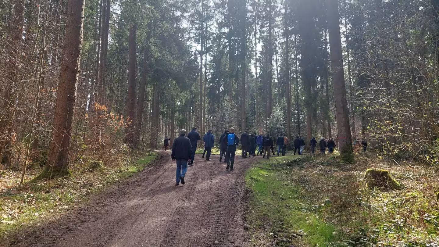 Group of people walking in a Bavarian forest