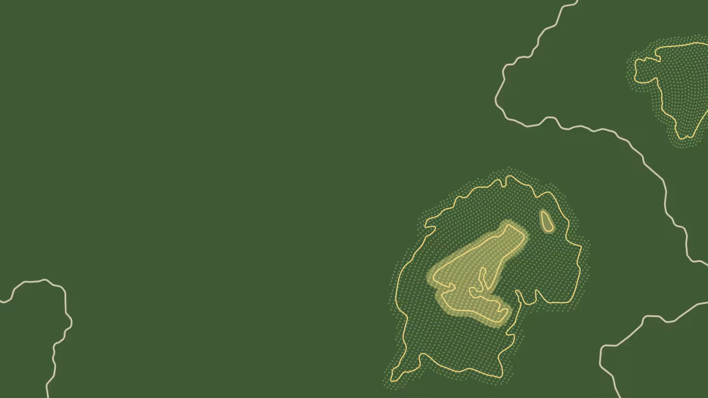 A minimalist topographic map illustration on a dark green background, featuring light green and yellow contoured zones representing forest carbon monitoring or land survey areas.