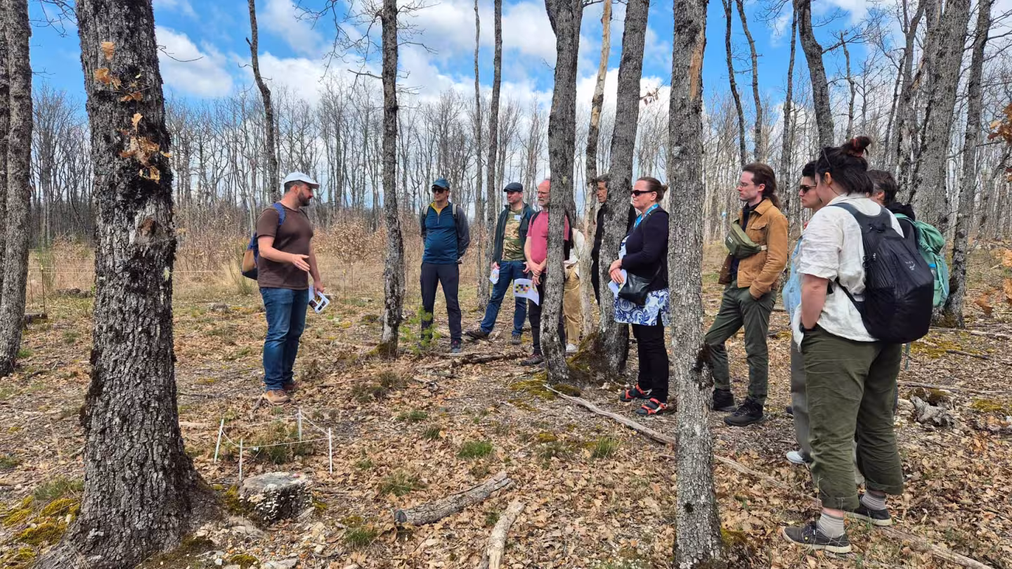 group of people on a field visit to a forest test site 