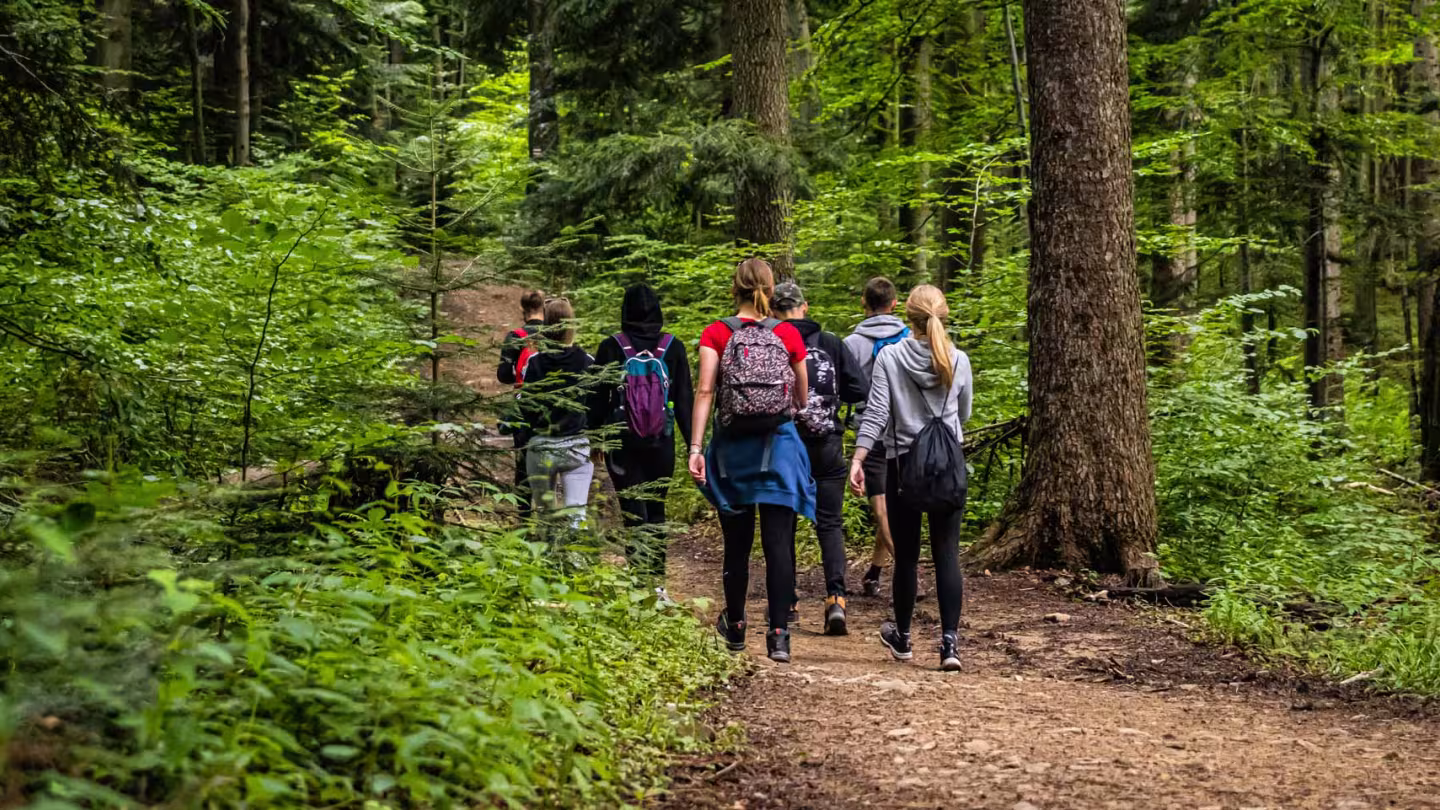 Hiking group of people in a forest