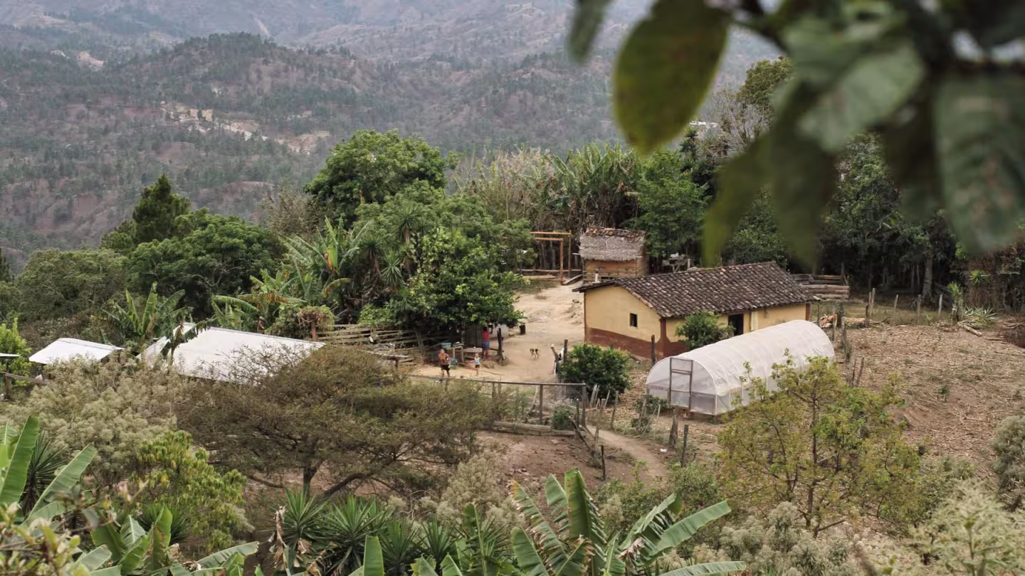 A high-angle view of a rural homestead in Honduras featuring a small house, a greenhouse, and lush tropical vegetation, set against a backdrop of rolling, forested mountains.