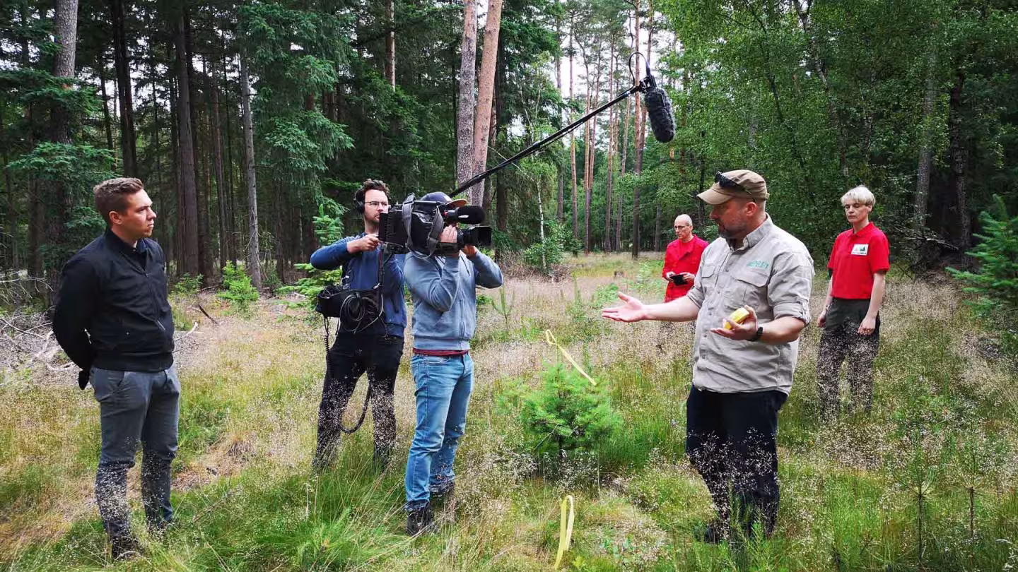 A forestry expert gives an interview to a film crew in a forest setting.