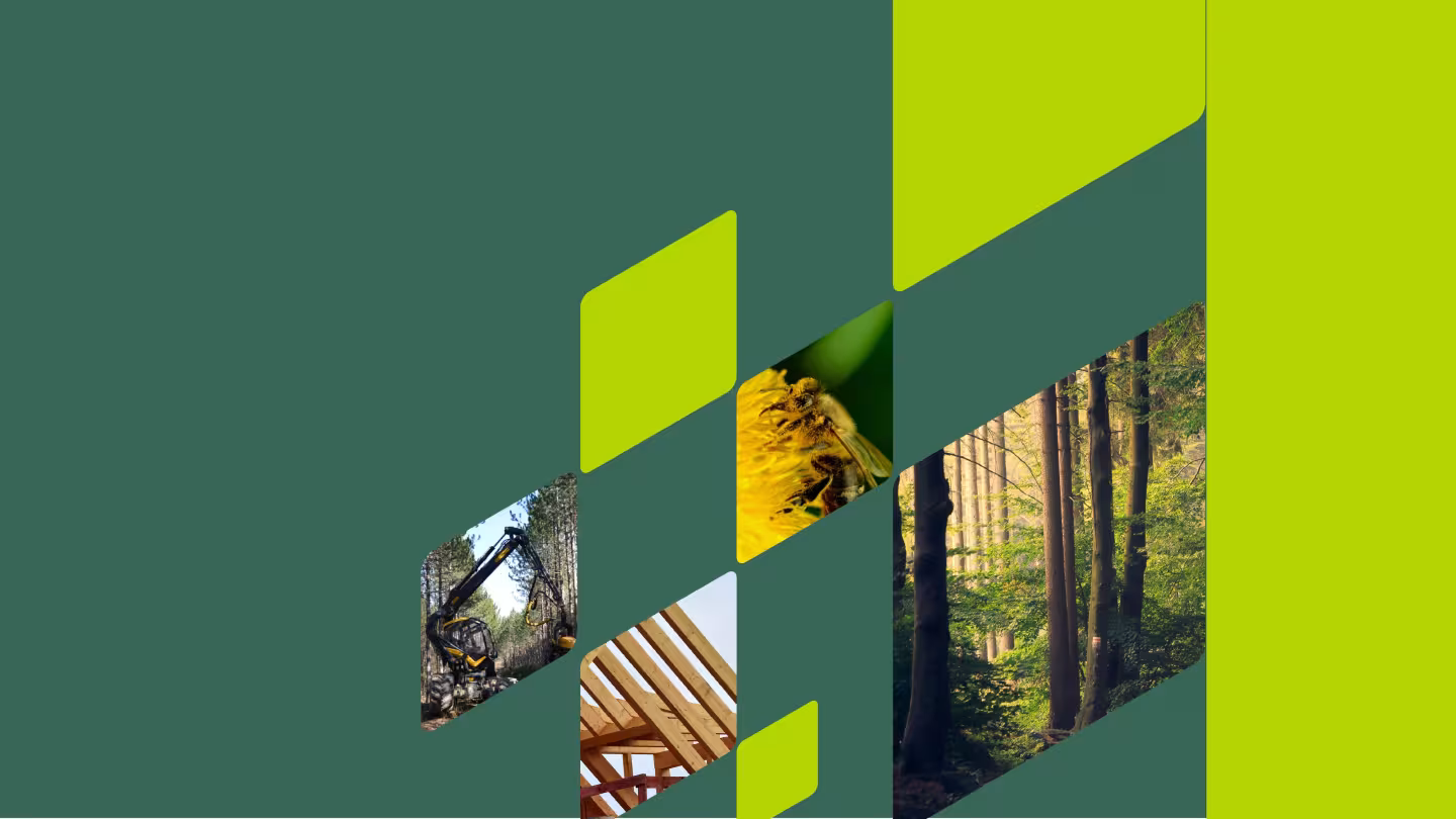 collage with a bee next to a sunflower, harvester in a forest, wooden house, trees