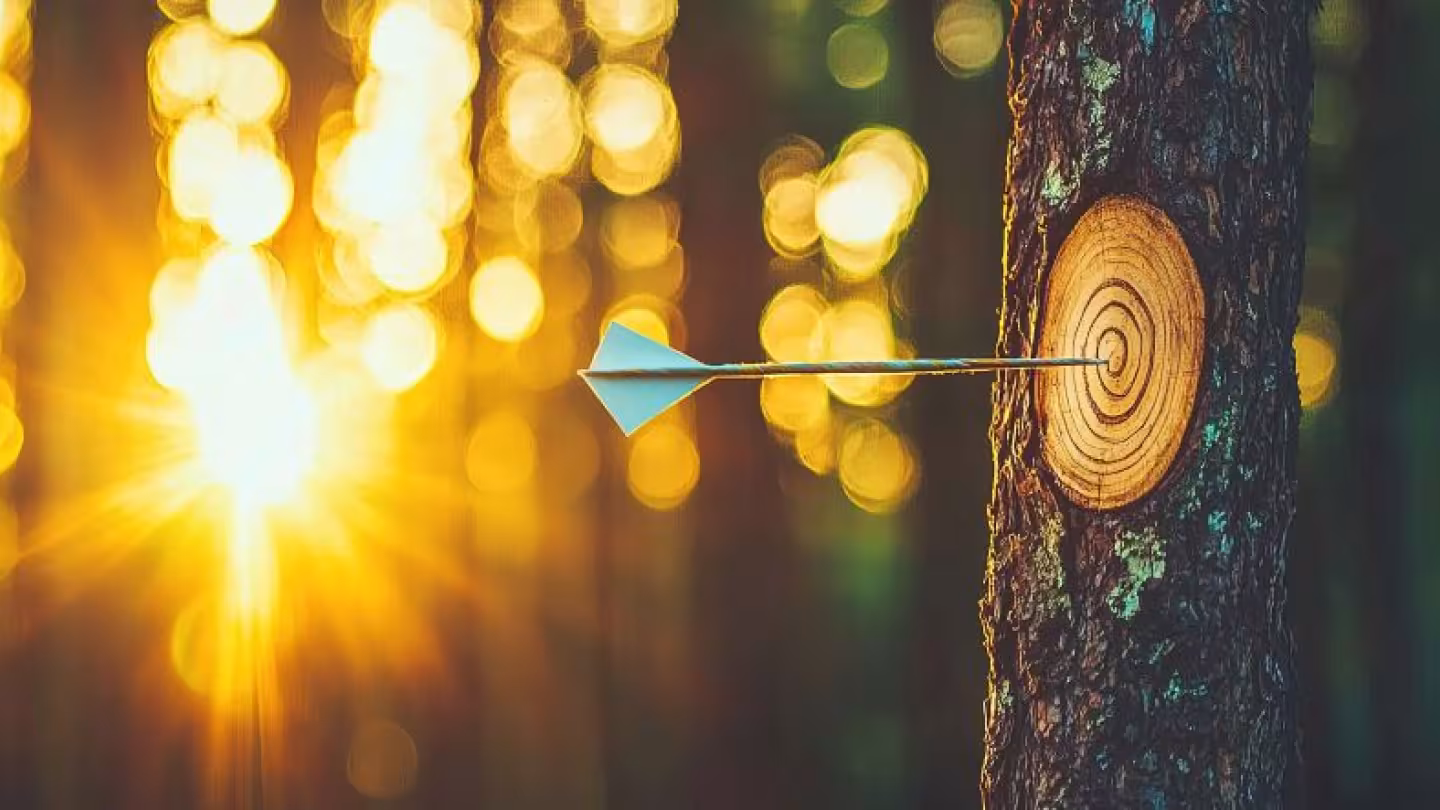 decorative photo of a tree
