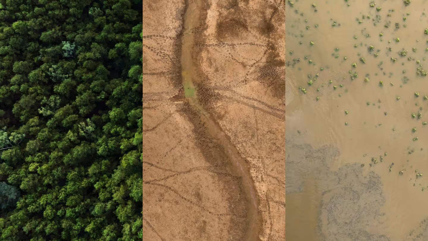 A three-panel aerial image illustrating environmental change. The left panel shows a dense, healthy green forest canopy. The centre panel shows a dry, degraded landscape with sparse vegetation, exposed soil, and erosion patterns. The right panel shows a flooded or waterlogged area with muddy water and scattered patches of vegetation. The side-by-side composition highlights contrasting ecosystem conditions, from intact forest to land degradation and inundation.