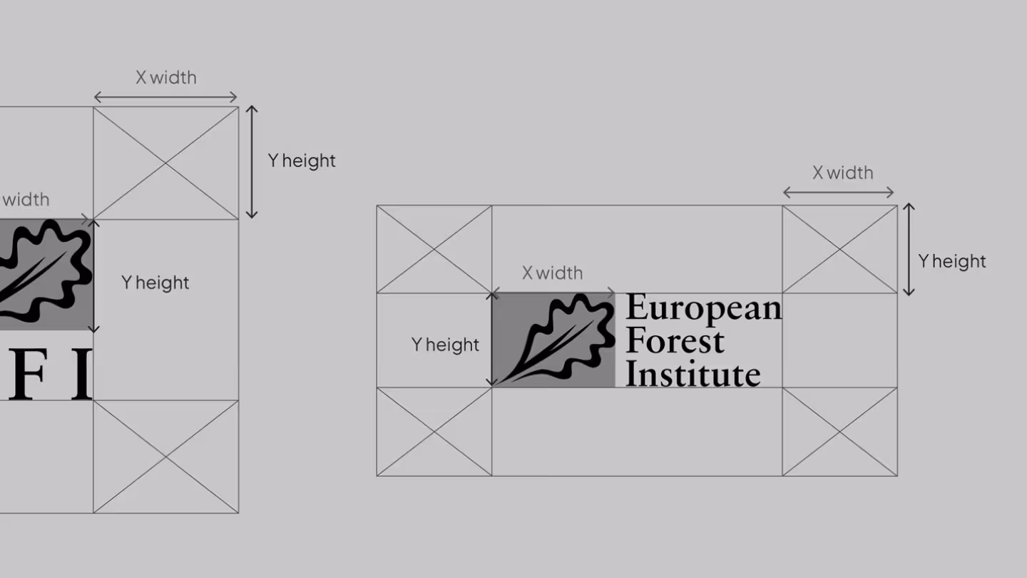 EFI logo exclusion zone