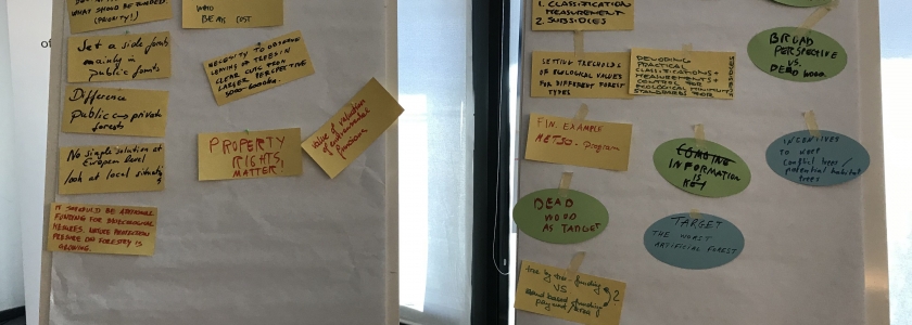 World Café