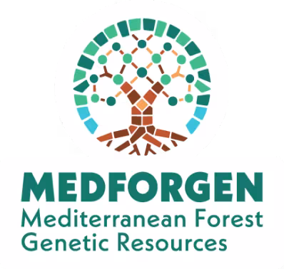 medforgen project logo