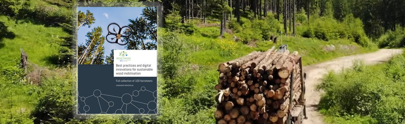 100 Best Practices And Digital Innovations For Sustainable Forestry ...