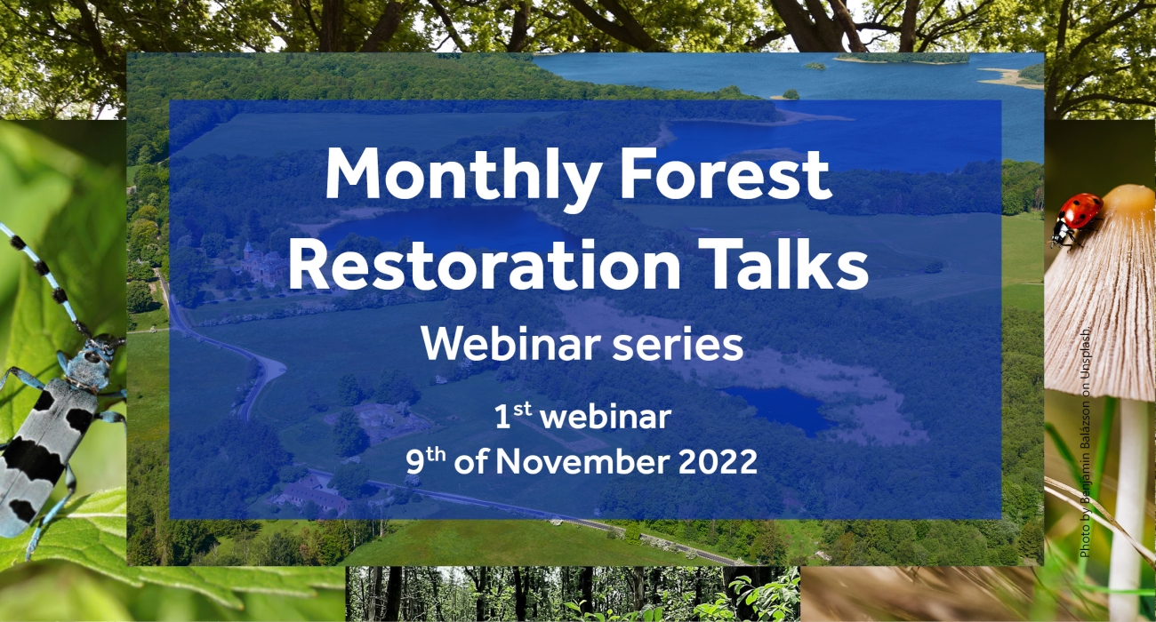 Join Monthly Forest Restoration Talks | European Forest Institute