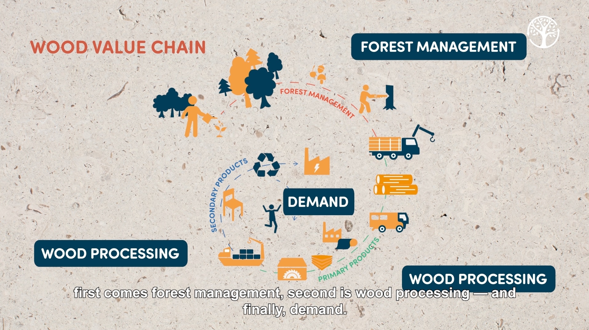 Video: Building resilient wood value chains | European Forest Institute