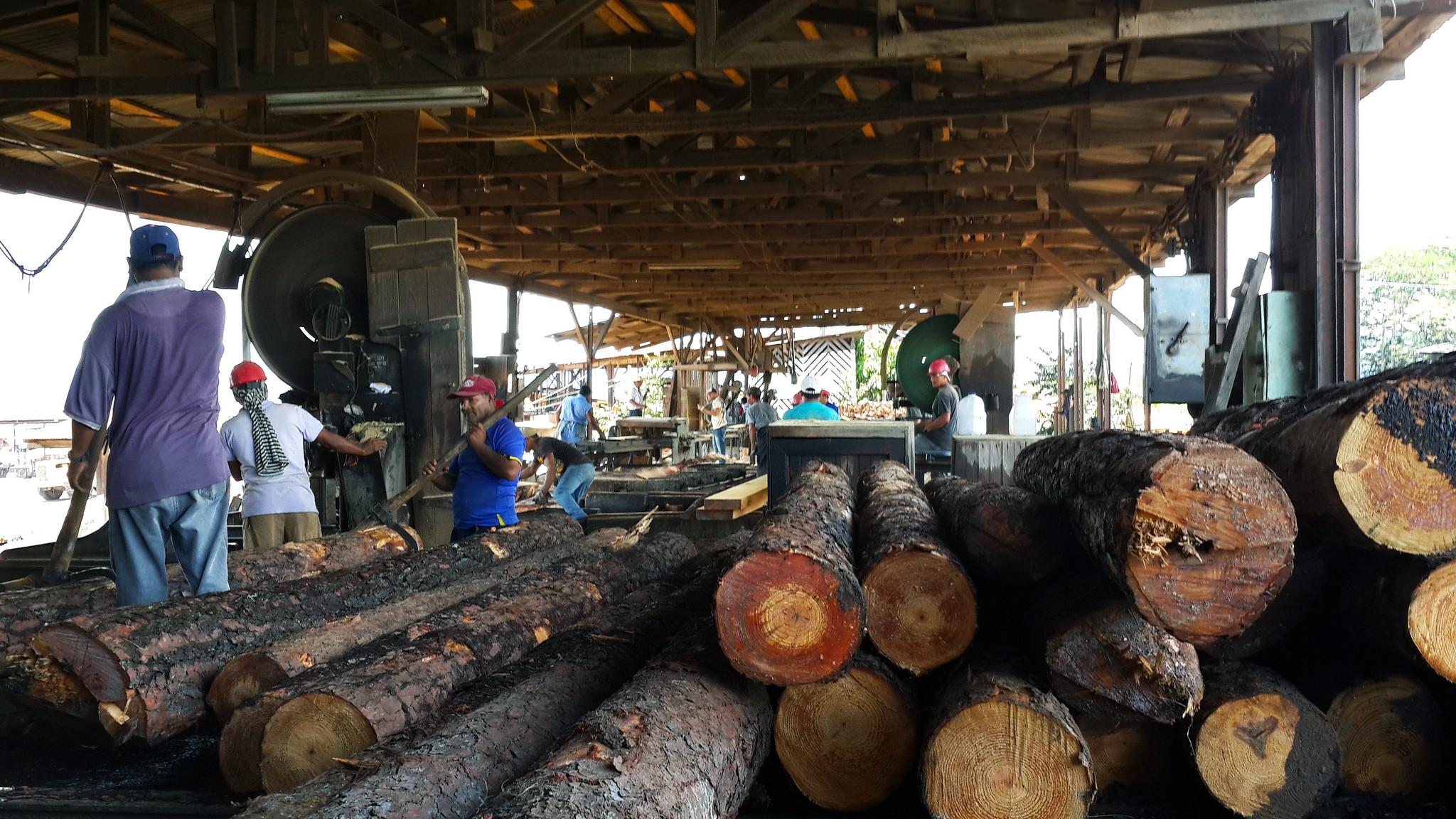 Forest stakeholders hail participation behind Honduras-EU timber trade ...