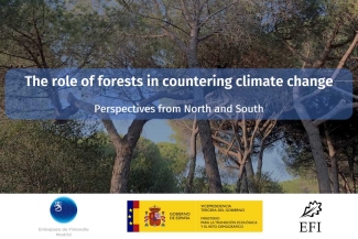 “The Role of Forests in Countering Climate Change – Perspectives from North and South” hybrid seminar took place in Madrid and online on March 15. Photo: EFIMED.
