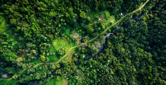 Aerial view of a path through a rainforest