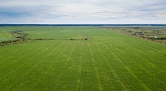 Aerial drone view of large soybean plantation in soy farm and deforestation area in the Amazon rainforest, Brazil. Photo by Imago Photo/AdobeStock.