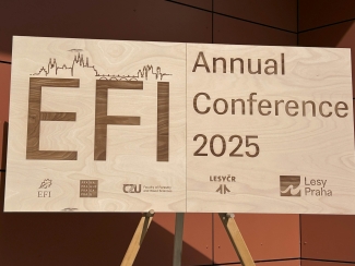 EFI wooden banner in Prague