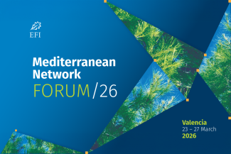 EFI Mediterranean Forum 2026
