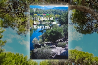 Status of Mediterranean Forests (SoMF 2025)