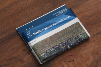 EFIMED December Newsletter 2025