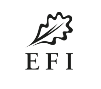 2026 EFI logo