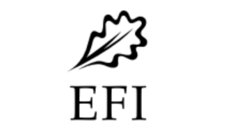 EFI logo